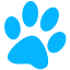 morethanpaws.com.au