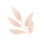 poshakbazaar.com