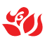 so-en.com