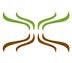 vitalhemp.com