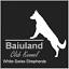 baiuland.it