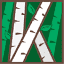 bar-berezki.ru
