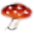 coloradomushrooms.com