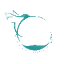 globalflowevents.com