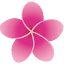 meoinc.org