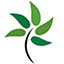 msrof.com