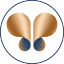 papillon.com.tr