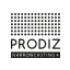 prodiz.nl