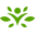 swansonvitamin.com