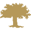 thewoodlands.org