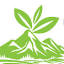 yethaitea.com