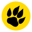 zinggsafaris.com