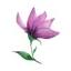 angiemayopsychotherapy.com