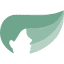 brigidalliance.org
