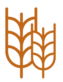 bth-direct.co.il