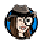 caminspector.net
