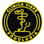 clinicavispe.pt