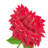encinitasflowershop.com