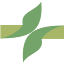 farmaciacons.it