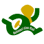 geraicerdas.com