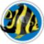 keywestaquarium.com