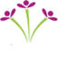 kudumbashree.org