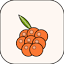 maroshka.com