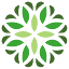 morrisarboretum.org