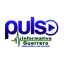 pulsoinformativoguerrero.com