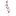 scithrive.org