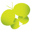 socialbutterflymarketing.com.au