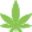 thcinaz.org