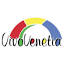 vivovenetia.fr