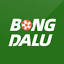 vuibongda.net