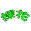 91xdj.top