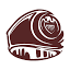 aggienetwork.com
