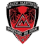 alexmartinsbrazilianjiujitsu.com