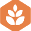 bii.org