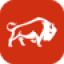 bisonconstructions.com.au