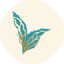 ecoledargere.fr