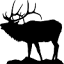 elkcapitalpartners.com