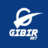 gibir.net
