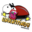mmmoy.com