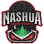 nashuasilverknights.com