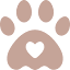 petpaws-store.com