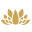 satyajewelry.com