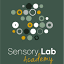 sensorylabacademy.com