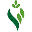 shivamorganics.com