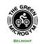 thegreenmicrogym.com