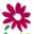tijardin.com